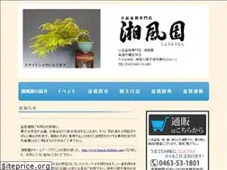 Sites similar to bonsai-shofuen.com