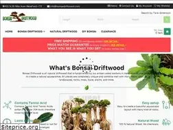 Sites similar to bonsaidriftwood.com