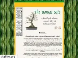 Sites similar to bonsaisite.com