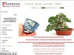 Sites similar to bonsaistudio.hu