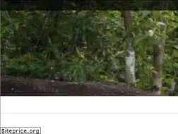 Sites similar to bontikote.com