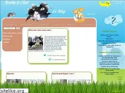 Sites similar to boobalechat.com