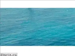 Sites similar to booking.me
