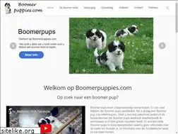 Sites similar to boomerpuppies.com