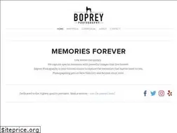Sites similar to boprey.com