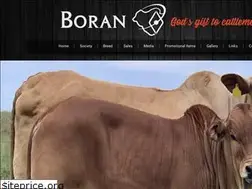Sites similar to boran.org.za