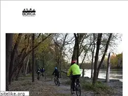 Sites similar to borca.org