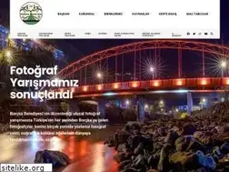 Sites similar to borcka.bel.tr
