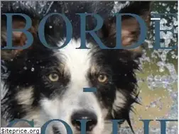 Sites similar to border-collie.de