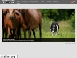 Sites similar to bordercollie-es.de