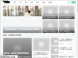 Sites similar to bordercollie.cn