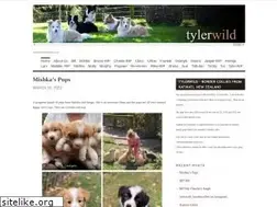 Sites similar to bordercollie.co.nz