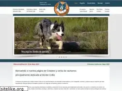 Sites similar to bordercollie.com.mx