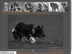 Sites similar to bordercollie.cz