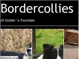 Sites similar to bordercollie.de