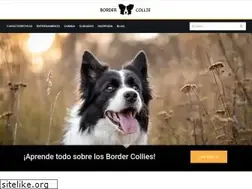 Sites similar to bordercollie.guru