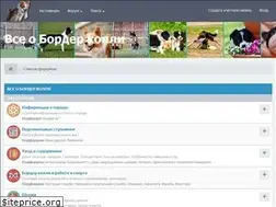 Sites similar to bordercollie.ru