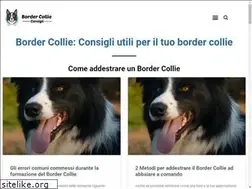 Sites similar to bordercollieconsigli.it