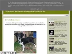 Sites similar to bordercolliecrazy.blogspot.com
