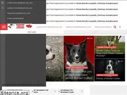 Sites similar to bordercollielovers.com