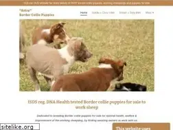 Sites similar to bordercolliepuppies.co.uk