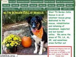 Sites similar to bordercollierescuewesttn.org