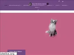 Sites similar to bordercolliesociety.com