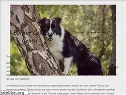 Sites similar to bordercolliesofcelvin.de