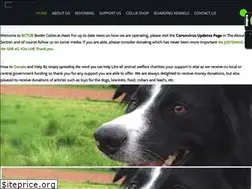 Sites similar to bordercollietrustgb.org.uk
