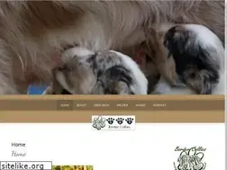 Sites similar to bordercolliezucht.de