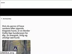 Sites similar to bordercollin.dk