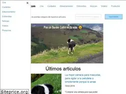 Sites similar to borders-collies.com