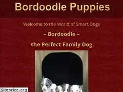 Sites similar to bordoodlepuppies.com