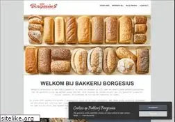 Sites similar to borgesius-convenience.nl