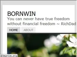 Sites similar to bornwin.net
