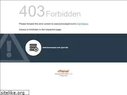 Sites similar to borocarpet.com