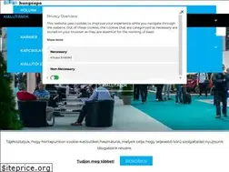 Sites similar to borokesizek.hu