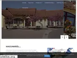 Sites similar to borostyanetterem.net