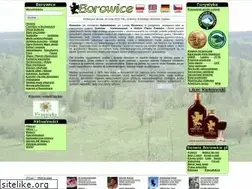 Sites similar to borowice.pl