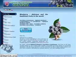 Sites similar to borowka.biz.pl