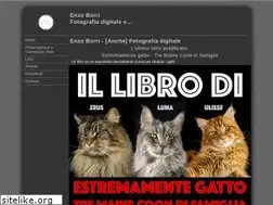 Sites similar to borri.org