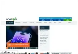 Sites similar to borsatek.com