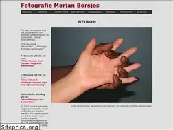 Sites similar to borsjes.nl