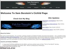Sites similar to borstein.info