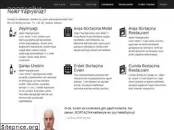 Sites similar to bortacina.com.tr