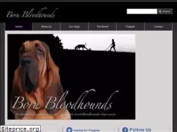 Sites similar to borubloodhounds.ca