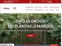 Sites similar to borynaplant.pl