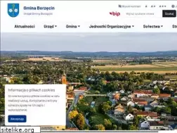 Sites similar to borzecin.pl