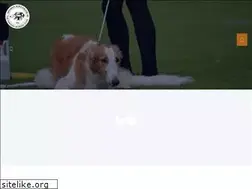 Sites similar to borzoiklubi.net