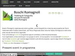 Sites similar to boschiromagnoli.it
